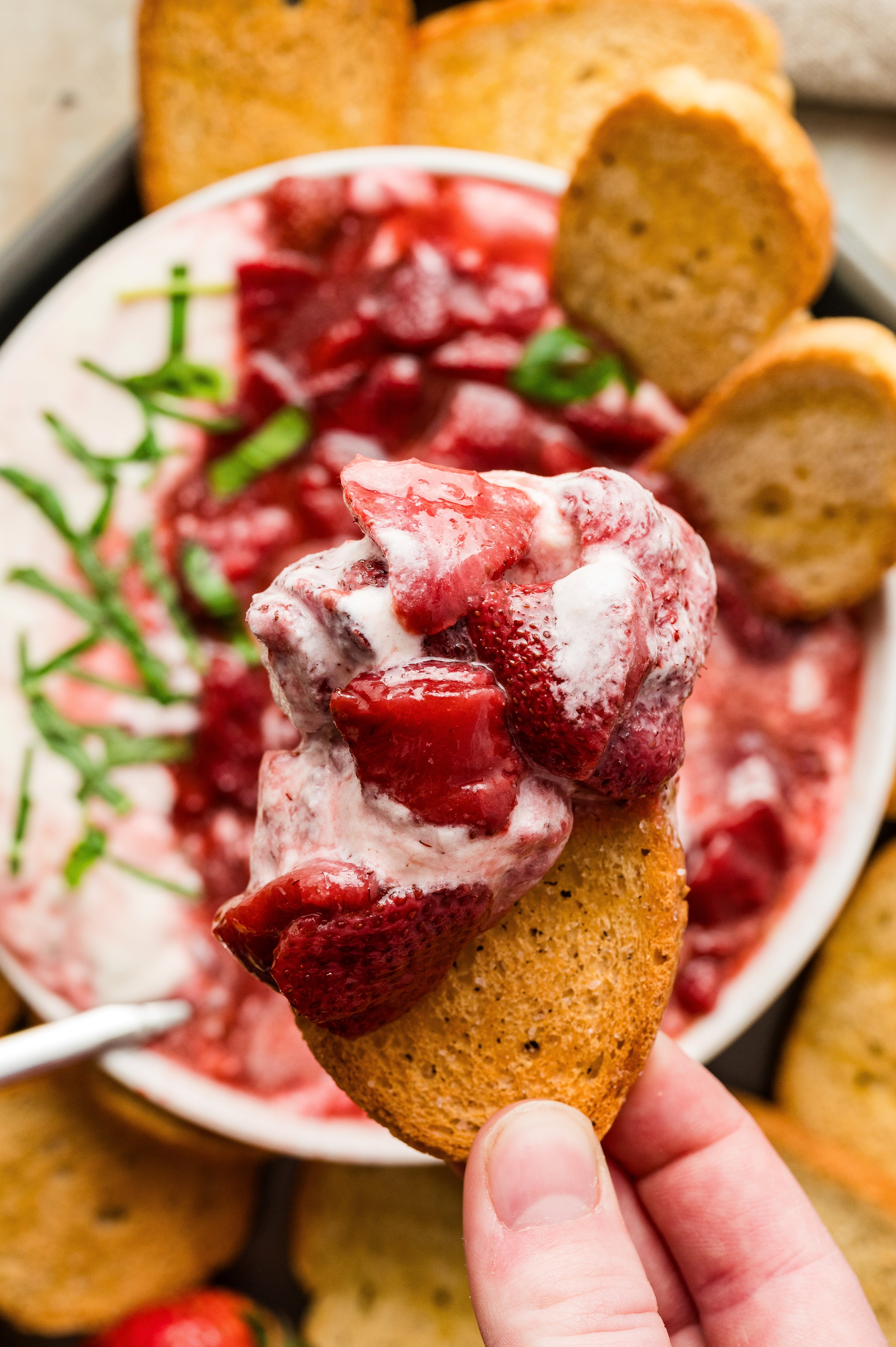 Whipped Goat Cheese and Roasted Strawberry Dip